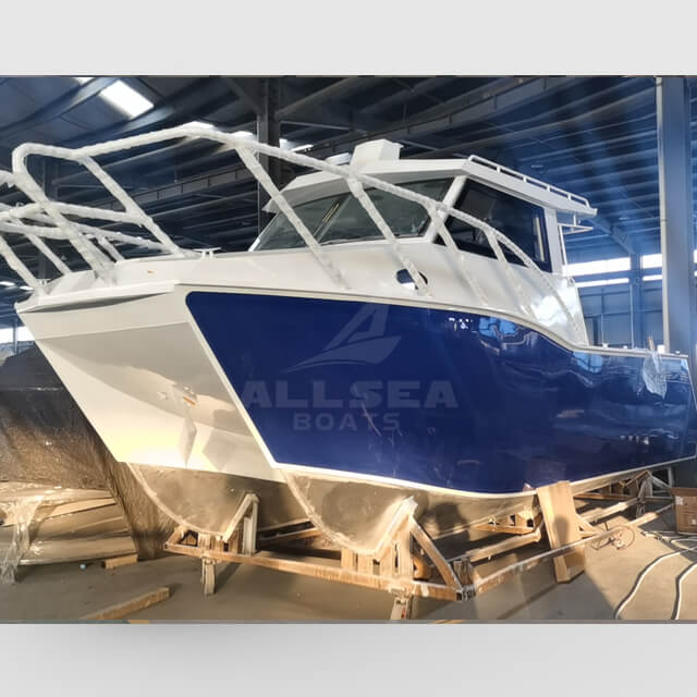 Barco catamarán de 8,8 m