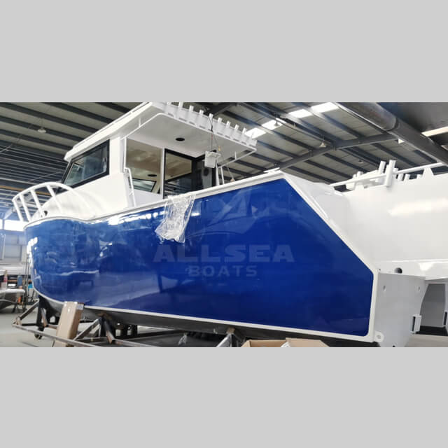 Barco catamarán de 8,8 m