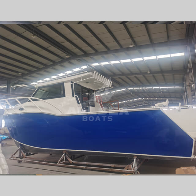 Barco catamarán de 8,8 m