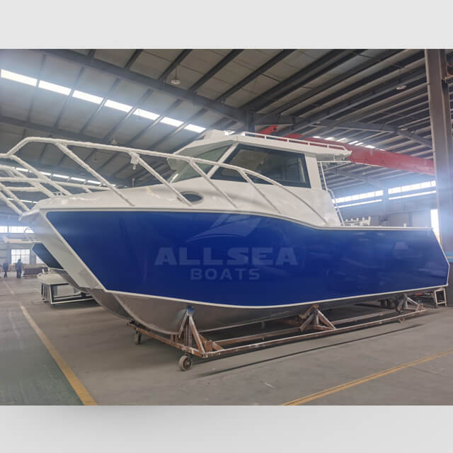 Barco catamarán de 8,8 m