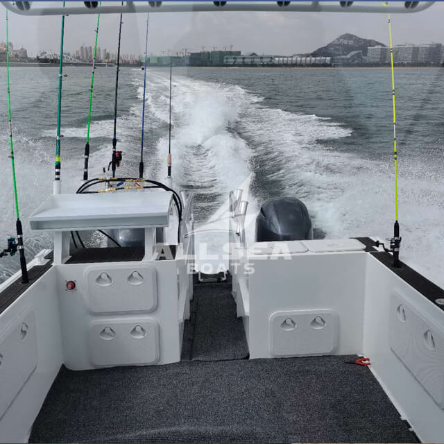 Barco catamarán de 7,3 m
