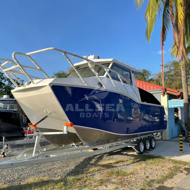 Barco catamarán de 8,8 m